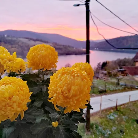 شقة Carna Meduvrsje