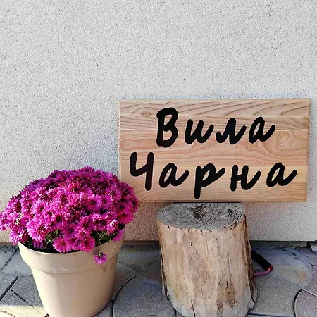 Carna * Meduvrsje